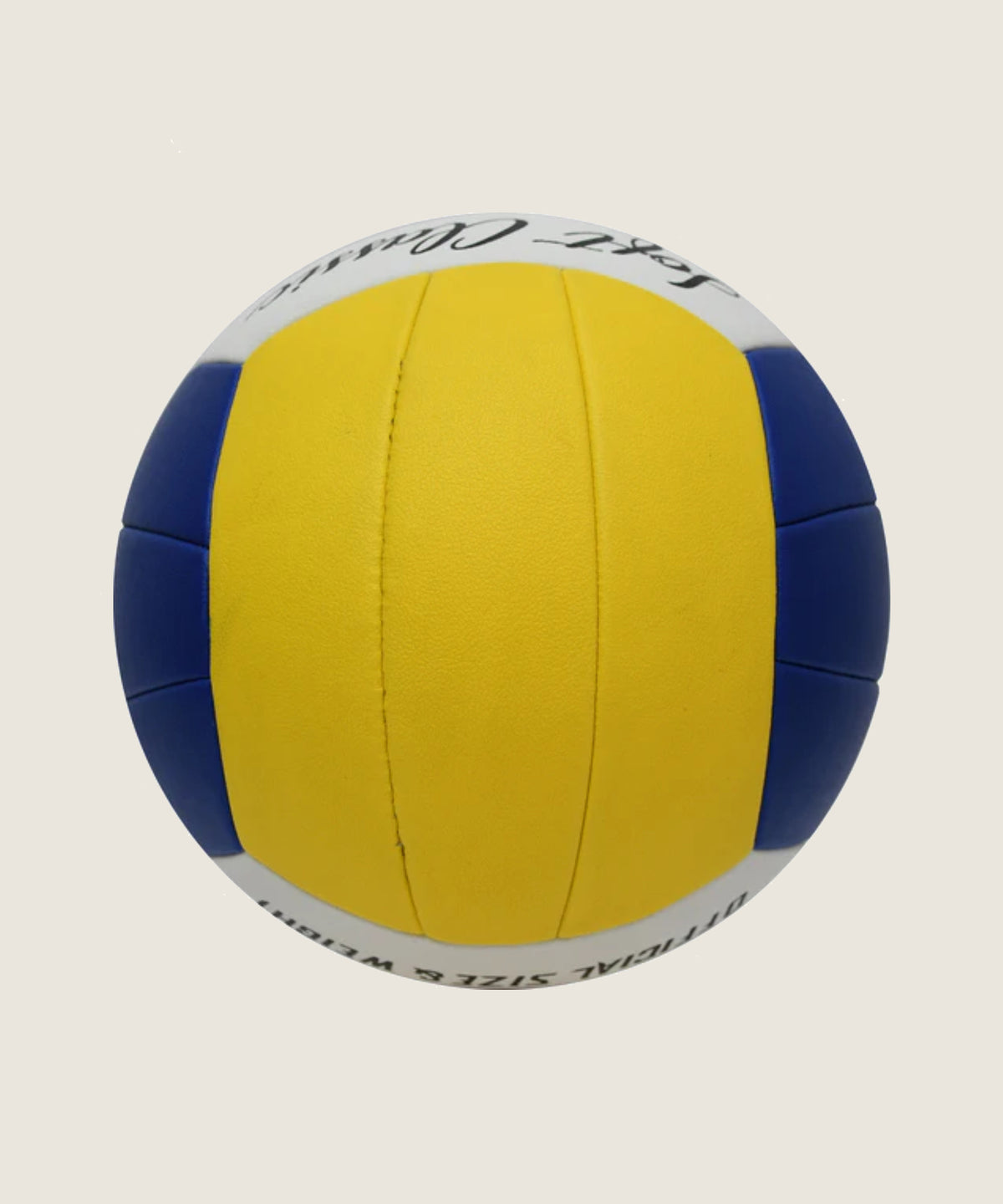 Beach Classic Volleyball