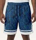 Men's Mesh Graphic - (Basketball Shorts) Navy